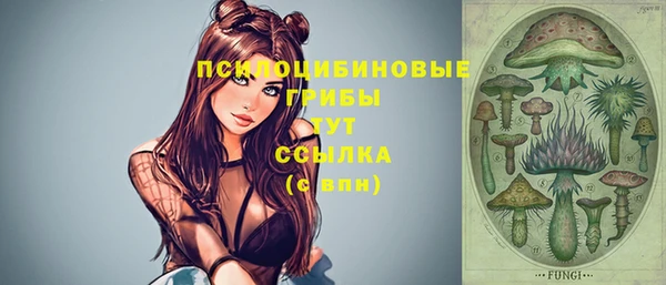 mdpv Баксан